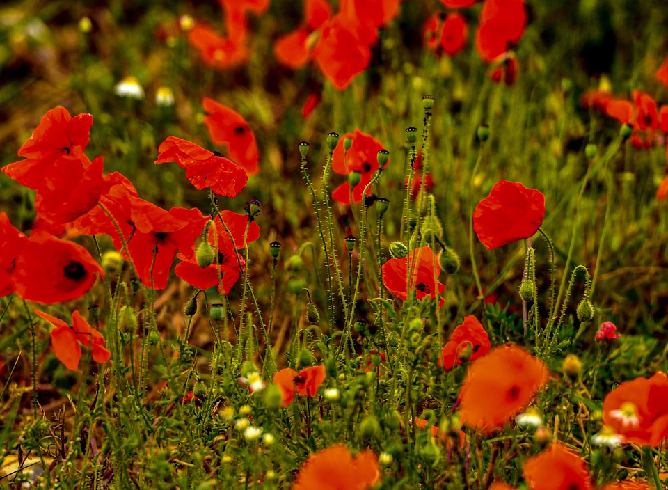 What qualifications do I need for a hairdressing apprenticeship