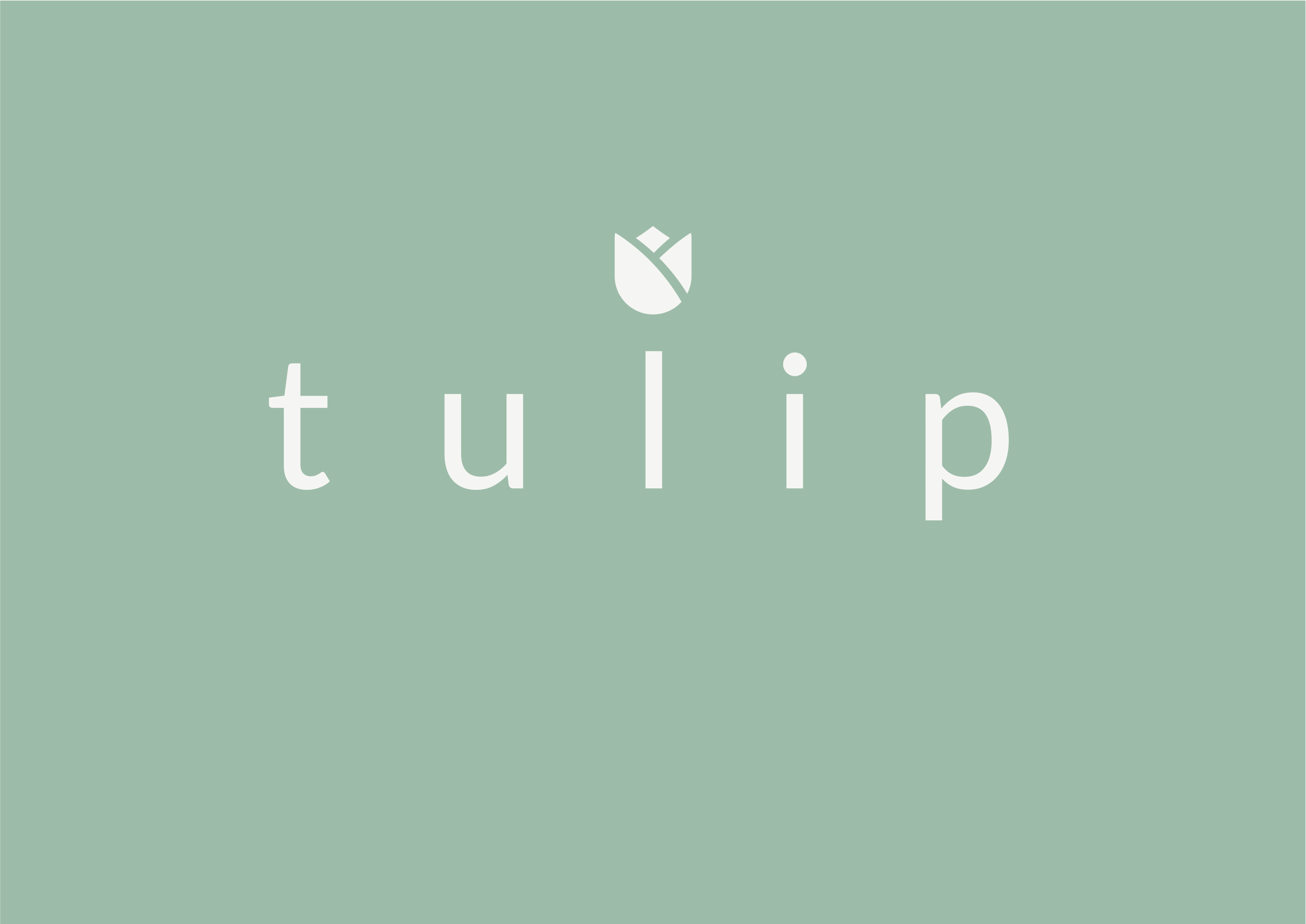 Tulip Hair